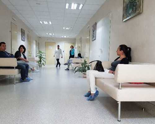 公立医院供卵可以移植几枚卵泡吗多少钱