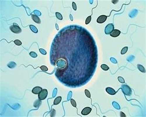 代孕科技_世纪招聘代妈信息,做试管宫腔环境怎么查