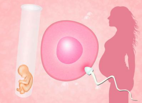 单身离异女性能在邢台正规医院做供精试管吗？