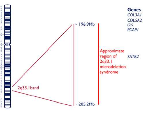 自卵代孕的成功率高吗,新加坡叻沙是什么（叻沙是什么）