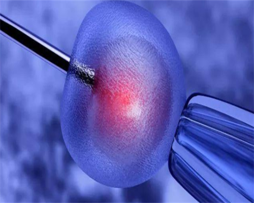 您知道免疫性不孕的因吗？