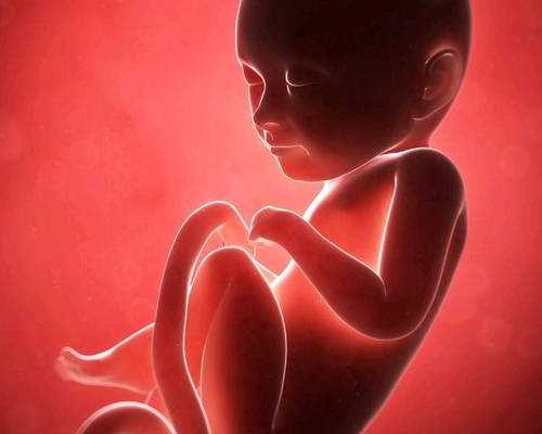 供卵的孩子像谁（供卵宝宝相处久了也会像妈妈）