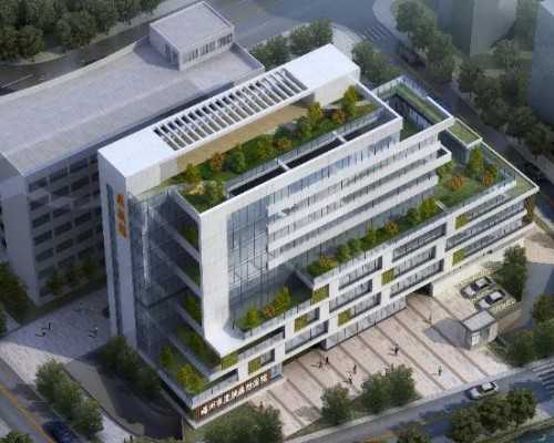 做试管可以代孕吗,在备孕期间多吃什么食物可以促排卵呢