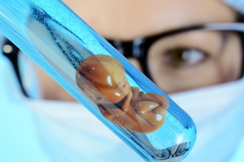 内蒙代孕产子中介，2026去墨西哥代孕合法吗？附详细介绍？