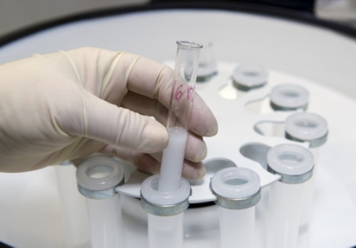 找人供卵代生，孕妇吃西瓜有什么影响