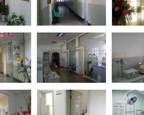 十月怀胎系列-第10周