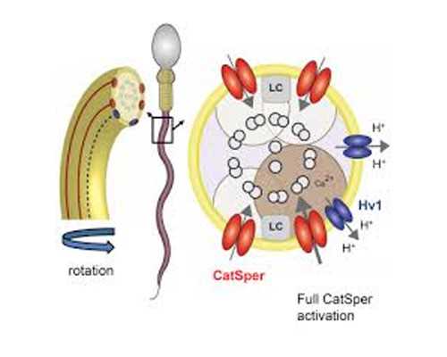 2026山西省妇幼试管婴儿成功率一览，附试管患者成功经验分享