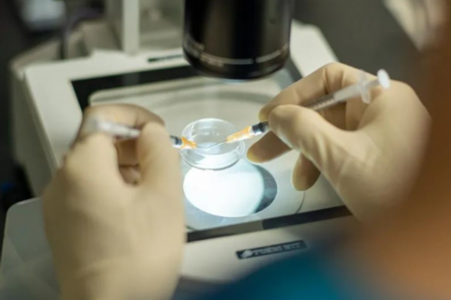 代孕供卵试管,去芜湖做试管婴儿要多少钱？5万的预算够吗？